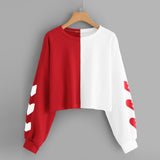 Harajuku Hoodies Sweatshirt Women Autumn Streetwear